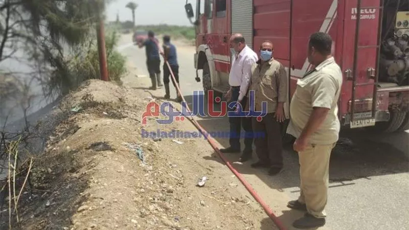 السيطرة على حريق بعزبة العطار بقرية قورص فى المنوفية