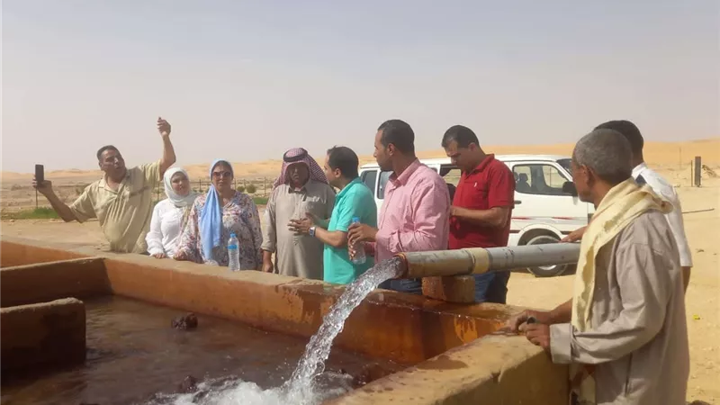 تنفيذا لتوجيهات وزير الزراعة.. فريق من مركز بحوث الصحراء في زيارة ميدانية إلى مركز نخل بسيناء