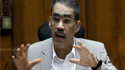ضياء رشوان:كل ما يطرح في جلسات الحوار الوطني هو من أجل المواطن