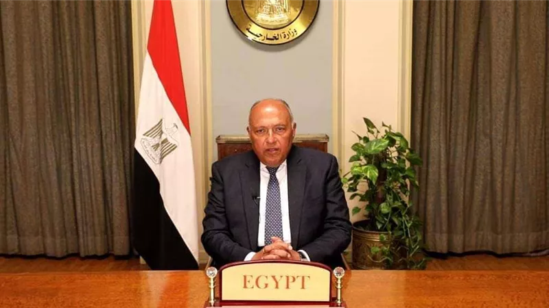 اليوم.. وزير الخارجية يستقبل رئيسة مجلس الشيوخ بغينيا الاستوائية