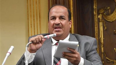 وكيل اقتصادية النواب: الدبلوماسية المصرية تعددت أدوارها في عهد السيسي