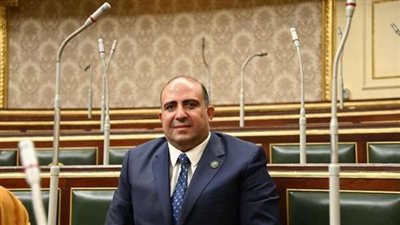 برلماني: الواقع أكد أن مصر لا تتأخر لحظة في مساندة الأشقاء