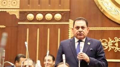 برلماني: تصدر مصر لمعدلات جذب الاستثمارات في إفريقيا يعكس نجاح تحسين مناخ الاستثمار