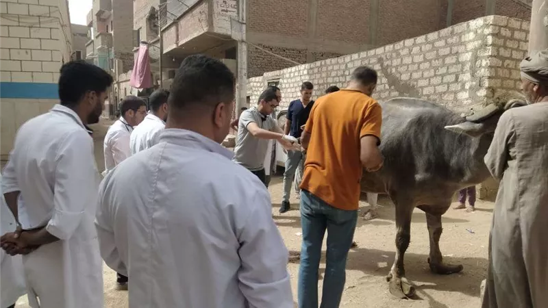 مبادرة حياة كريمة..جامعة سوهاج تطلق قافلتها التنموية لقرية الديابات