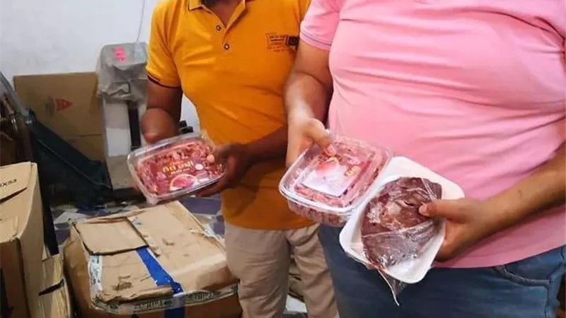 ضبط أكثر من طن أسماك ولحوم وكبدة غير صالحة للاستهلاك الآدمي بالدقهلية