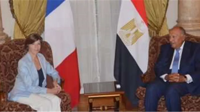 مباحثات موسعة بين وزير الخارجية سامح شكري ونظيرته الفرنسية في باريس