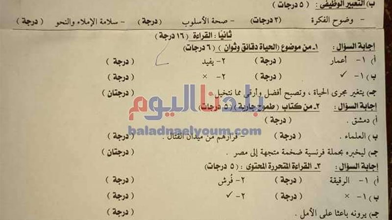 بلدنا اليوم