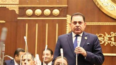 برلماني: مصر حريصة على تطوير علاقاتها الثنائية مع دول العالم