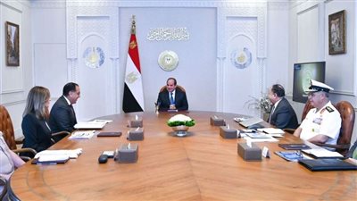 الرئيس السيسي يوجه بتعزيز التعاون مع الخبرات العالمية لإدارة مدينة الفنون