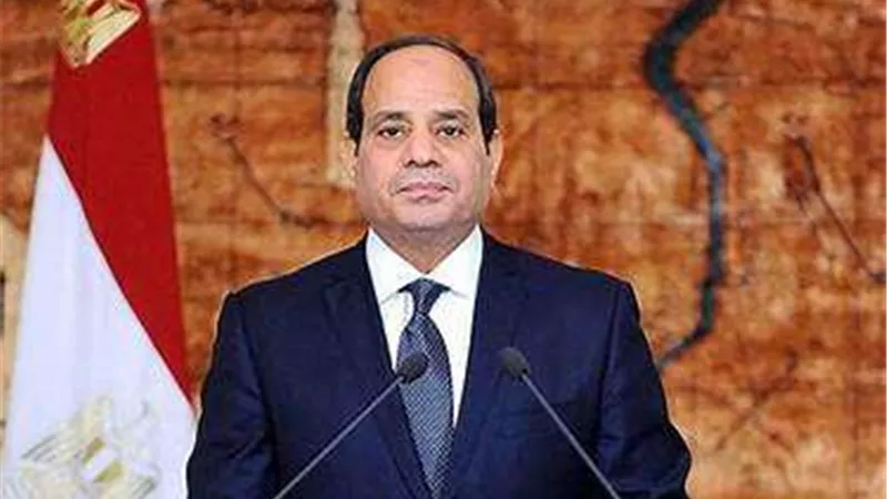 قرارات الرئيس السيسي وزيادة الفئات المالية الممنوحة للمستفيدين.. فيديو