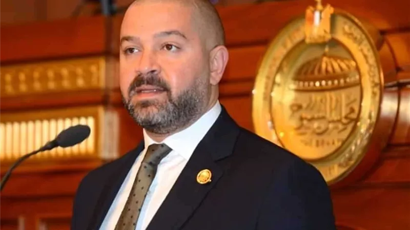 برلماني: قرارات الرئيس السيسي استهدفت جميع فئات المجتمع