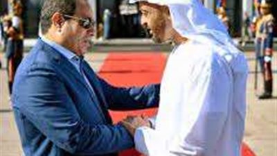 صحة الشيوخ: مصر والإمارات حريصان على دعم الأمن القومي العربي