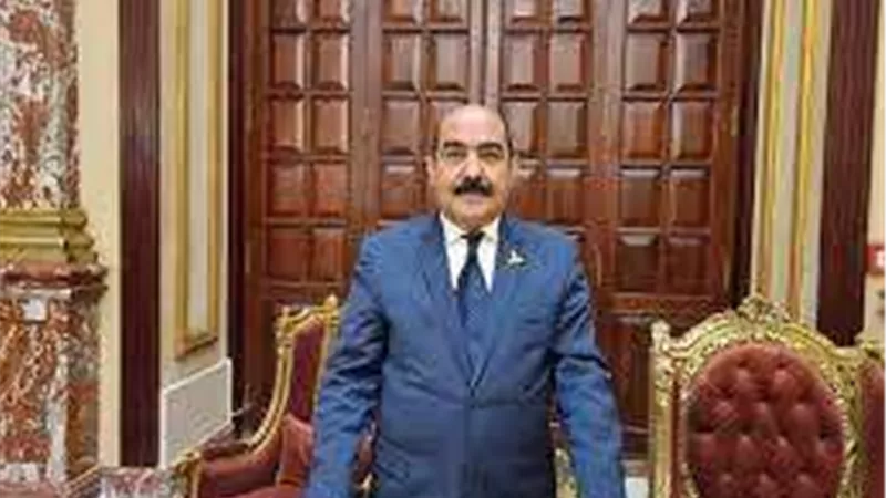 برلماني: قرارات الرئيس تأتي من منطلق انحيازه للبسطاء