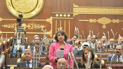 النائبة رشا إسحق: العلاقة بين مصر والإمارات تُعد نموذجًا للعلاقات الطيبة
