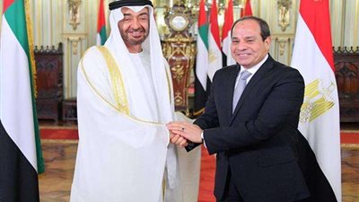 برلماني: زيارة السيسي للإمارات تأكيد على أهمية تعزيز العمل العربي المشترك