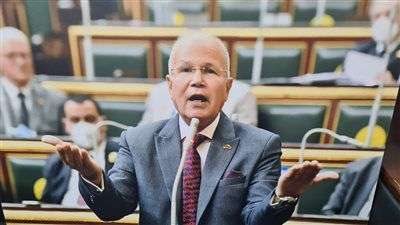 برلماني: مصر تعامل المواطنين العرب مثل أبنائها