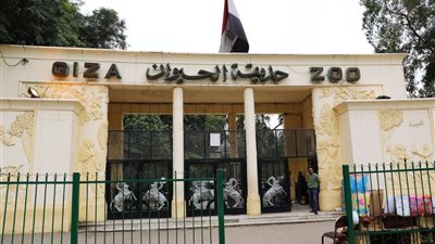 بدء تنفيذ مخطط تطوير حديقتي الحيوان والأورمان