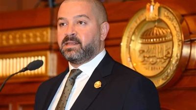 النائب أحمد دياب: تصريحات الهيئة الوطنية خير دليل للرد على المشككين في نزاهة الانتخابات الرئاسية