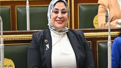 برلمانية: الإلتزام بإجراء الانتخابات الرئاسية في وقتها مكسب للوطن
