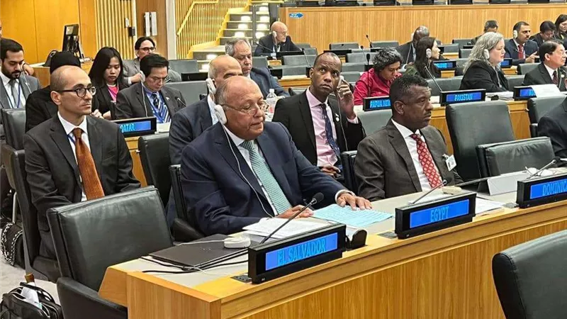 سامح شكري: قمنا بجهود كبيرة لمحاولة نزع فتيل الأزمة في السودان.. فيديو