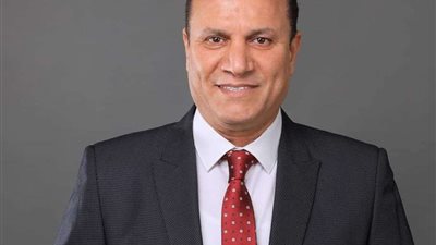 برلماني: توطين الصناعة سيعمل على تعزيز فرص العمل
