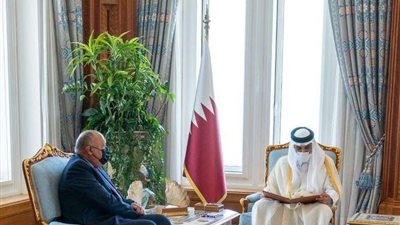 وزير الخارجية يُسلم أمير قطر رسالة من الرئيس السيسي