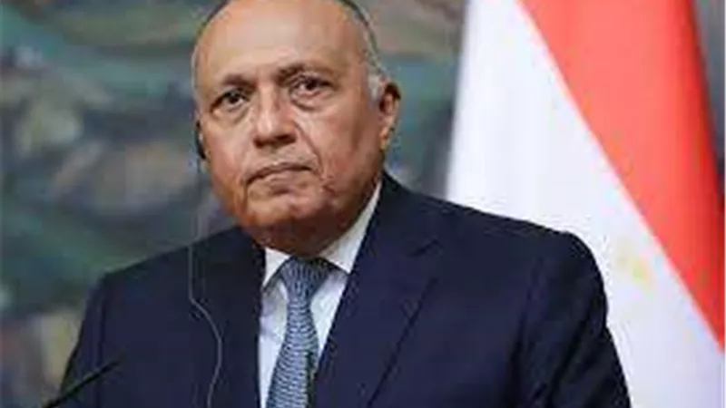 وزير الخارجية يبحث مع نظيره الروسي أخر تطورات مشروع الضبعة