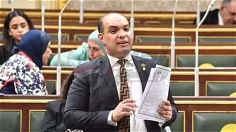النائب علاء قريطم: نجاح مشروع صكوك الإطعام يعكس ثقة المصريين بمؤسسات الدولة