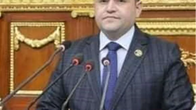 النائب شحاتة أبو زيد: مصر من الدول الجاذبة للاستثمارات الأجنبية