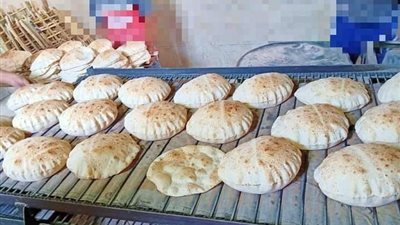 ضبط ٥٠ طن مخللات غير صالحة للاستهلاك الأدمى في البحيرة