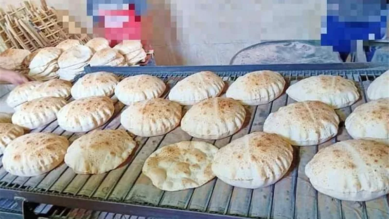 ضبط ٥٠ طن مخللات غير صالحة للاستهلاك الأدمى في البحيرة