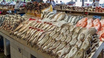 21 يونيو.. أسعار الأسماك والجمبري في الأسواق اليوم