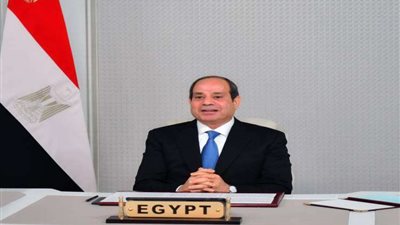 عاجل|الرئيس السيسي: لم نغامر بمصر والمصريين