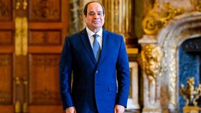 عاجل| السيسي: صندوق تحيا مصر يقوم بدور كبير جدًا في أي حاجة نحتاج له فيها