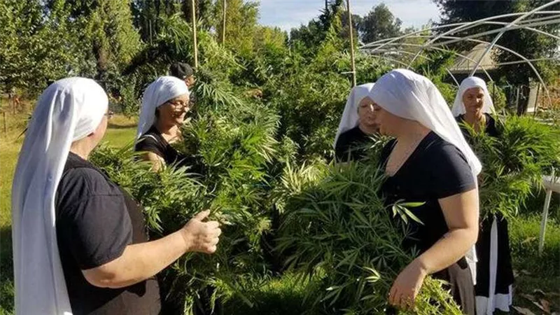 «أصل الكيف بيذل». . بماذا يؤمن الناس في الكنيسة الدولية للحشيش ؟
