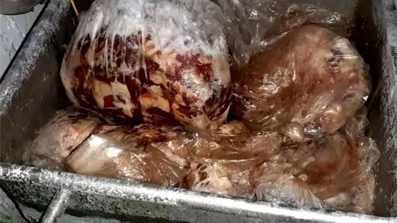 ضبط 2 طن لحوم مجمدة فاسدة فى حملة تموينية بالجيزة