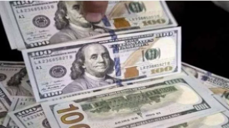 استقرار سعر الدولار مقابل الجنيه بالبنوك المصرية