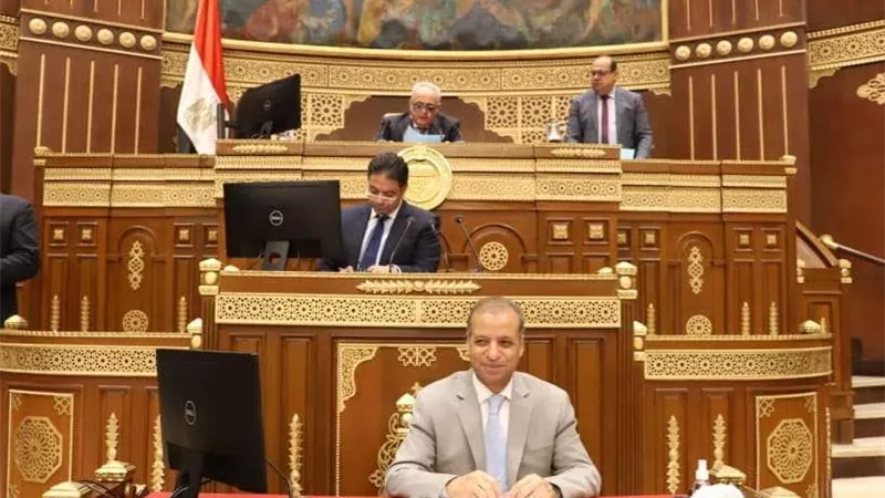 فوز النائب محمد هيبة برئاسة لجنة حقوق الإنسان بمجلس الشيوخ