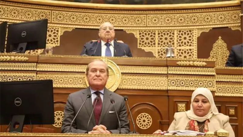 النائب محمد هيبة رئيسًا لحقوق الإنسان بمجلس الشيوخ