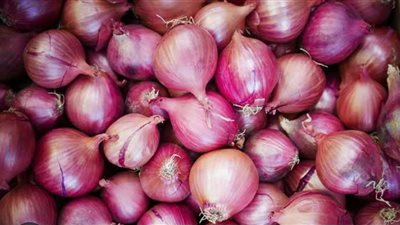 نقيب الفلاحين يكشف عن ميعاد خفض الأسعار