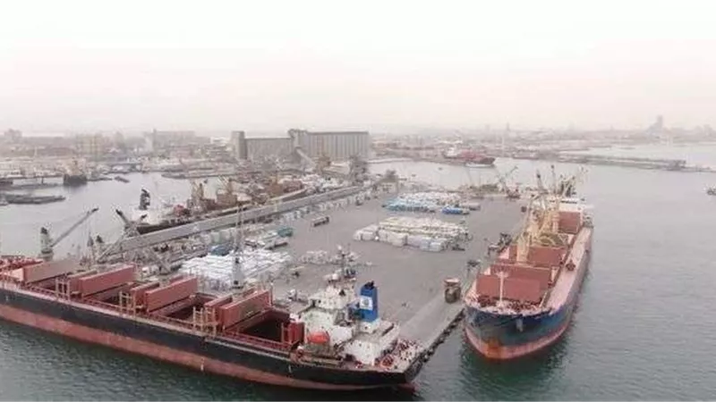 بتكلفة 7 مليارات جنيه.. تنفيذ مشروع ميناء الإسكندرية الكبير