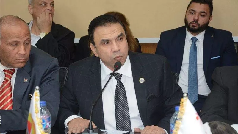 مدحت ممدوح: قرارات البرلمان الأوروبي هدفها تعكير الاستحقاق الدستوري