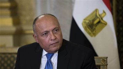 مصر و الإمارات يتفقان على خطورة الموقف الحالي بين فلسطين و إسرائيل