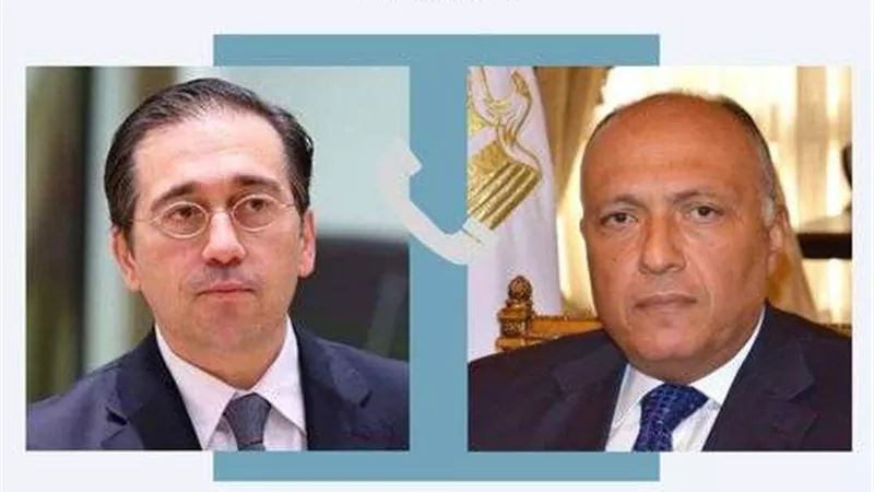 شكري يبحث مع رئيس مجلس الاتحاد الأوروبي سبل وقف التصعيد في غزة