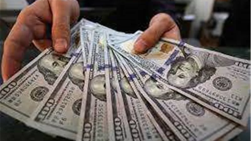 استقرار أسعار الدولار الأمريكي مقابل الجنيه المصري اليوم