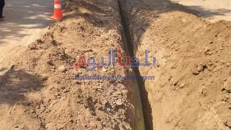 لا صوت يعلو فوق صوت 