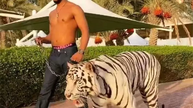 محمد رمضان يتسبب في إغلاق مطعم في دبي.. فماذا فعل ؟