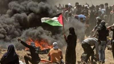 مستشار الرئيس الفلسطيني: سنظل ندافع عن أنفسنا ونناضل من أجل استعادة حقوق شعبنا.. فيديو