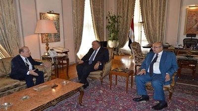 سامح شكري يغادر إلى نيويورك لحضور جلسة مجلس الأمن حول سد النهضة