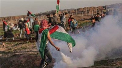خبير علاقات دولية: ماذا لو أقدمت إسرائيل على اجتياح قطاع غزة؟.. فيديو